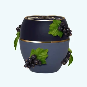 Wonderpotje zwarte bes